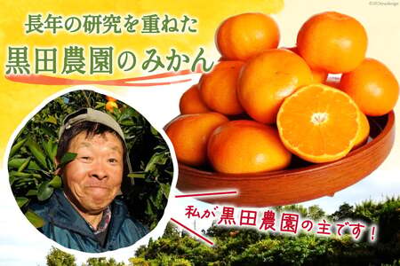 【期間限定発送】 みかん 5kg コクのある甘さ うまぁ〜い！！青島晩生温州みかん 2L [黒田農園 宮崎県 日向市 452061302]