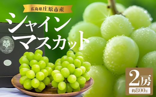 
                  【先行受付 2026年発送】シャインマスカット2房セット【配送不可地域：離島・北海道・沖縄県】【1465047】
                