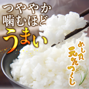 金のめし丸元気つくし 10kg（5kg×2袋） 令和7年産_ 白米 お米 〔Gr044〕