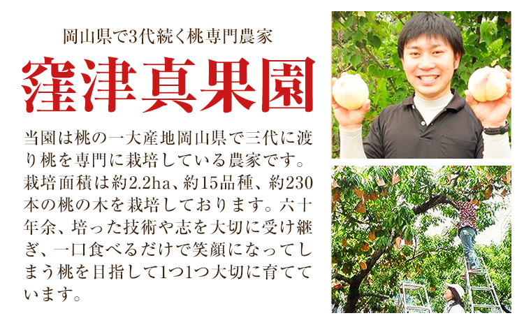 【2026年先行予約】ご家庭用 旬の桃 (なかて~おくての品種) 約1.5kg (4~6玉) 窪津真果園【配送不可地域あり】（北海道・沖縄・離島）《7月中旬-9月中旬頃出荷》岡山県 浅口市 フルーツ 