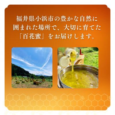 ふるさと納税 小浜市 はちみつOBAMA 600g×2瓶 |  | 03