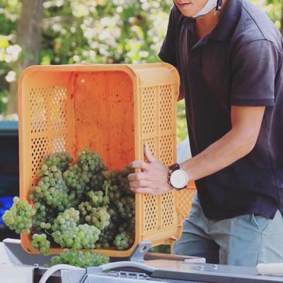 ふるさと納税 東御市 IWC銀賞受賞!白ワイン4本Aセット(ヴィニュロンズリザーブ シャルドネ、ソーヴィニョンブラン) |  | 03