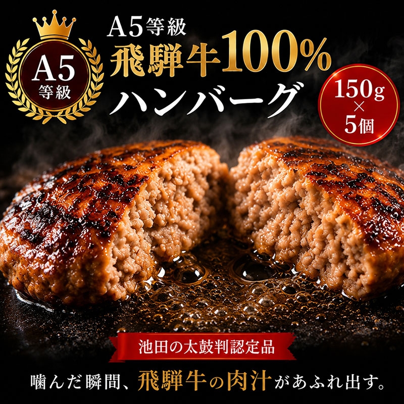 
                  飛騨牛 ハンバーグ ロースバーグ 150g×5枚 計750g  飛騨牛100% 和牛 牛肉 ブランド牛 おかず 惣菜 焼くだけ 簡単調理 BBQ バーベキュー キャンプ アウトドア  炭火
                