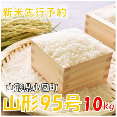 【ふるさと納税】【令和7年産米 先行予約】山形95号 精米 10kg(5kg×2袋)　おぐにのこめ【1660293】