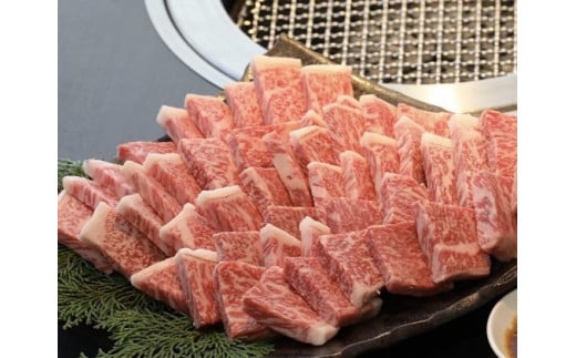 
CD008　佐賀牛未経産限定リブロース焼肉カット500g
