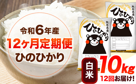 令和7年産【12ヶ月定期便】新米 白米 ひのひかり 10kg 《お申し込み月の翌月から出荷開始》 熊本県産 白米 精米 ひの 送料無料 熊本県 山江村 SDGs 米 コメ こめ 国産