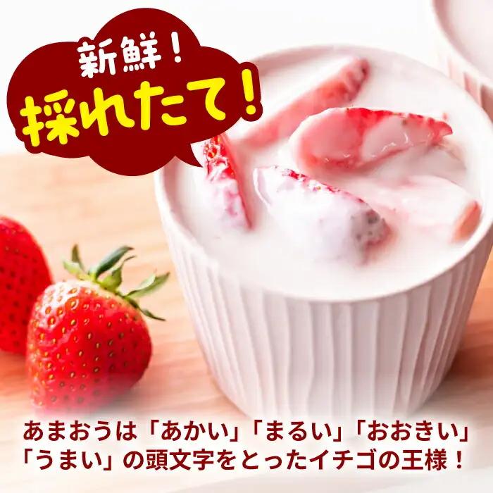 博多和牛 サーロイン 250g×2 & 冷凍あまおう 800g VBB016