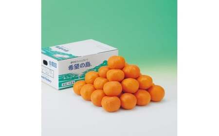 【2026年5月上旬から発送予定】完熟春みかん カラマンダリン 5kg M~2Lサイズ【FT036】