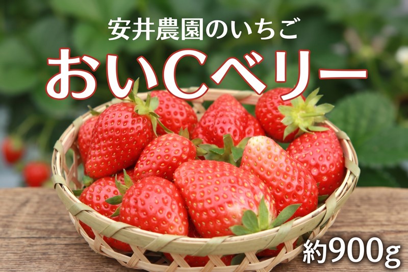 
                  【2027年先行予約】おいしいベリー　約900g ／ フルーツ 果物 イチゴ 苺 千葉県 特産品
                