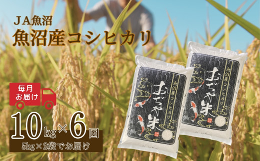【6か月定期便(毎月発送)】 令和7年産新米 魚沼産コシヒカリ 精米10kg(5kg×2袋)×全6回 ※2025年10月上旬から発送予定 JA魚沼 【0002-JA08DB00-01】
