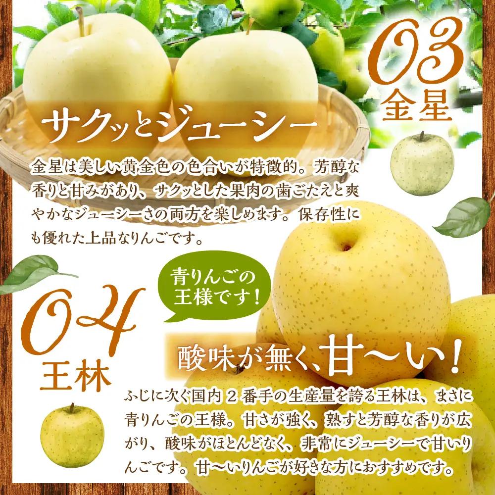 【2026年12月中旬発送】 りんご 約5kg 青森県産 《贈答用》 りんご4品種食べ比べ