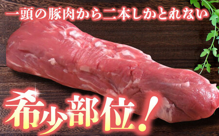 【家庭用】FA さくらポーク ヒレ ブロック 500g【KRAZY MEAT(小田畜産)】[ZCP016]