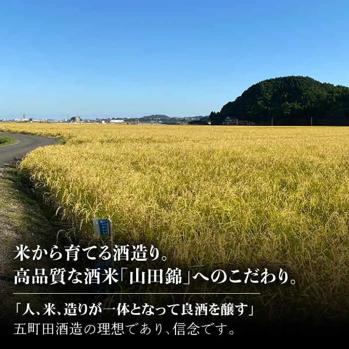 【定期便】 日本酒 東一 山田錦特別純米酒 NBQ114 日本酒 全6回
