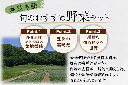 【定期便3回】熊本の大地の恵み≪ 野菜で野菜を食べる ≫ 旬のこだわり 野菜 ＆ドレッシング セット (3〜4名様向け) 野菜 獲れたて 8～12品 直送 旬 新鮮 定期便 野菜ドレッシング 詰め合わ