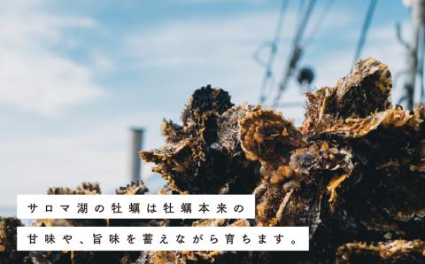 【国内消費拡大求む】≪先行予約2024年11月から配送≫北海道サロマ湖産　貝付きホタテ6枚・カキ約2kg　ほたて　帆立　刺身　牡蠣　かき　海鮮　魚介　殻付き　貝付き　冷蔵　サロマ湖　オホーツク　おほー