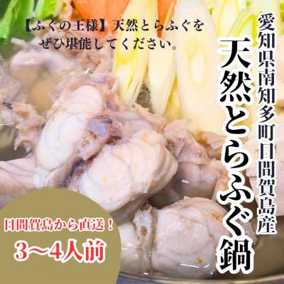 ふるさと納税 南知多町 【日間賀島産】天然とらふぐ鍋セット