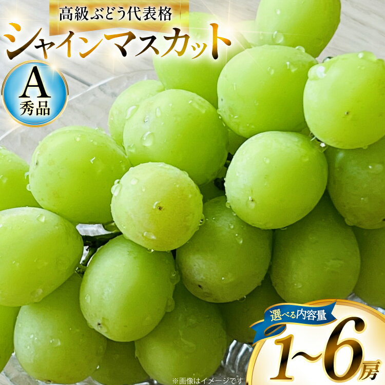 【ふるさと納税】【総合ランキング 上位入賞】シャインマスカット マスカット 650g 1房 1.5kg 2〜3房 3kg 4〜6房 | ふるさと納税 ぶどう シャイン マスカット 高級 葡萄 果物 フルーツ 農家直送 箱詰 山形県 高畠町 人気 ランキング 送料無料 F21B-125var