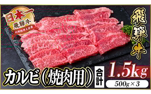 
            飛騨牛　厳選カルビ　焼肉　1.5kg  A4～A5等級 ＜冷凍便＞ 黒毛和牛　BBQ用　小分け【1543785】
          