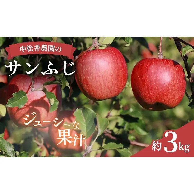 りんご 中松井農園のサンふじ 約3kg りんご