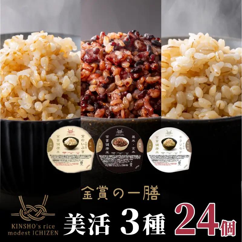 【金賞の一膳 美活3種】玄米 もち麦 120g×24個 ご飯パック 食べ比べ