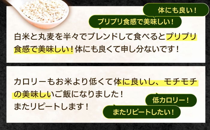  長崎県産 丸麦 20kg  麦 むぎ 雑穀 雑穀米 麦ごはん 麦みそ 麦味噌 食物繊維