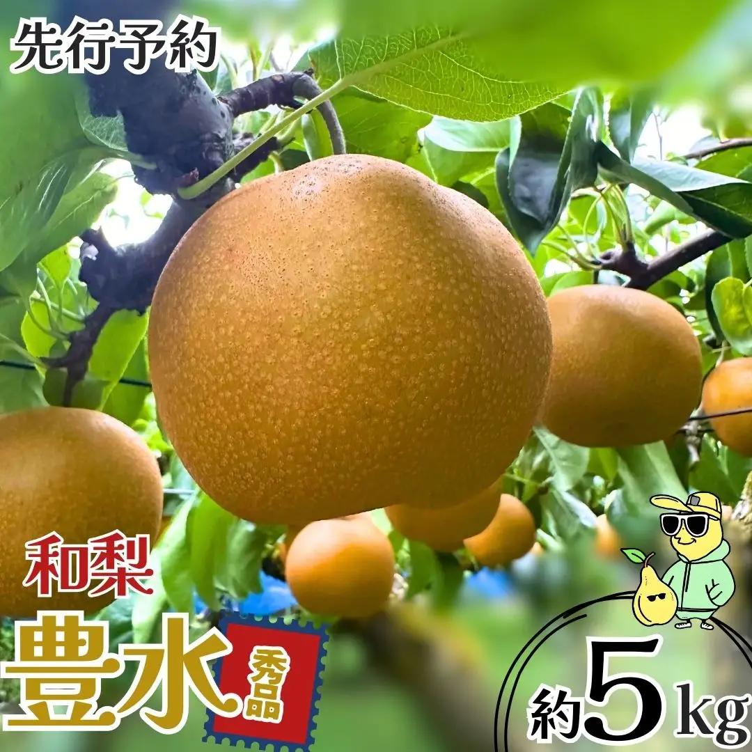 先行予約 和梨 豊水 約5kg 秀品 令和8年度 冷蔵 新潟フルーツ 新潟県産 梨 [三条ファームWIN]