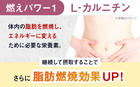 ALPRON SLIM 燃え燃え 450g グレープフルーツ風味 1個 筋トレ 健康 サプリ 島根県雲南市/株式会社アルプロン[AIAL084]