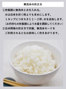 米 コシヒカリ 無洗米 300g × 3袋