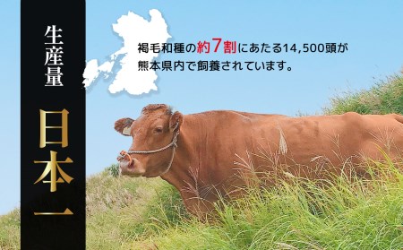 くまもと あか牛 切り落とし（コマ切れ）900ｇ | 熊本県 熊本 くまもと 和水町 なごみ 牛肉 肉 赤牛 肥後 900g 切り落とし 小間切れ