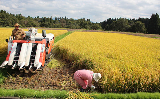 令和6年産《定期便》金山産米 つや姫 【精米】2kg×6ヶ月 計12kg 米 お米 白米 ご飯 精米 ブランド米 つや姫 送料無料 東北 山形 金山町 F4B-0519