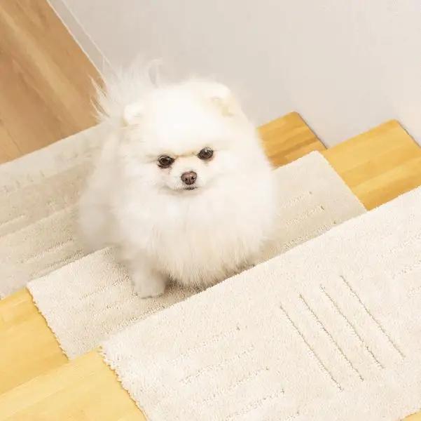洗える階段マット 22×45cm ベージュ 5枚組 ピタペトモ 犬・猫 吸着