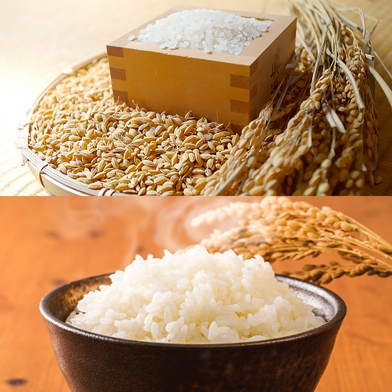 【期間・数量限定】農家応援企画！山形自慢の特別栽培米