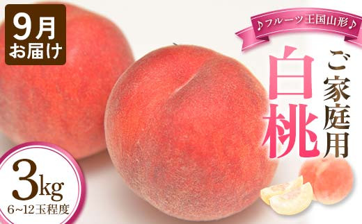 【先行予約 2025年度発送】♪フルーツ王国山形♪ご家庭用白桃９月お届け  もも モモ 桃 デザート フルーツ 果物 くだもの 果実 食品 山形県 FSY-1129
