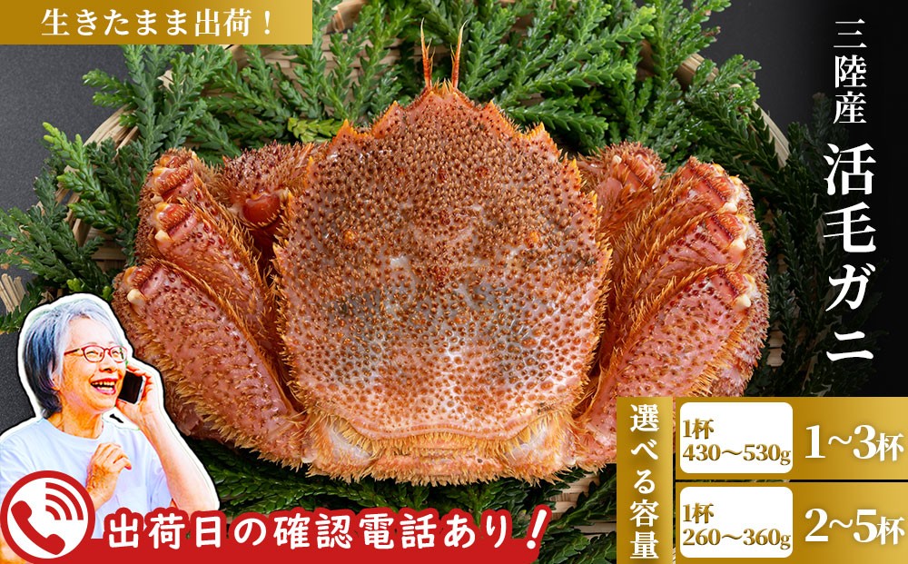 
                  【選べる容量】【出荷前にお電話します！】 活毛ガニ 1杯 (430g～530g) 2杯(260g～360g×2)  三陸産【令和9年2月上旬～4月頃お届け】ヤマコー片桐鮮魚店
                