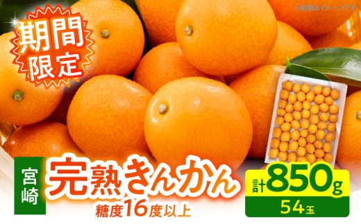 【1週間以内発送】ゴトウさんの 宮崎 完熟 きんかん 約850g(計54玉) 期間限定 フルーツ 果物 くだもの 金柑 柑橘 青果 キンカン 国産 食品 人気 おすすめ ギフト 贈り物 贈答 おすそ分け お礼 新鮮 産地直送 高糖度 甘い 選べる 宮崎県 日南市 送料無料_ZX12-25