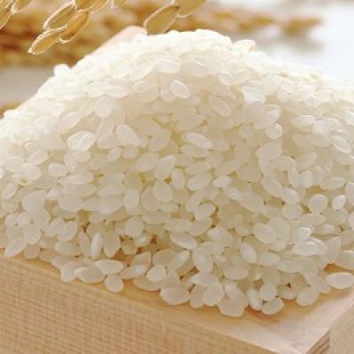 ふるさと納税 筑紫野市 ふくおか産「夢つくし2.5kg」「元気つくし2.5kg」の食べ比べ(筑紫野市) |  | 02