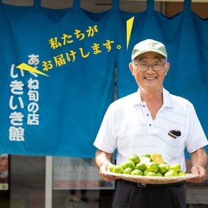 郷土の味「こっぱ餅」(計16個・4個入り×4パック) 餅 お餅 おもち モチ サツマイモ さつまいも さつま芋 菓子 おやつ お菓子 お茶請け 間食 いももち【あくね旬の店いきいき館】a-10-14