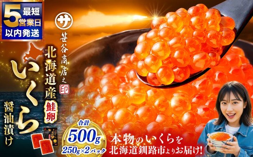 【5営業日以内発送】笹谷商店 北海道産いくらしょう油漬500g（250g×2パック入り） ふるさと納税 いくら