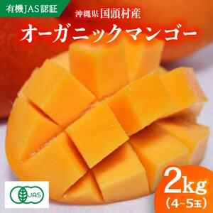 【有機JAS認証】オーガニックマンゴー2kg(4～5玉)【配送不可地域：離島】【1589198】