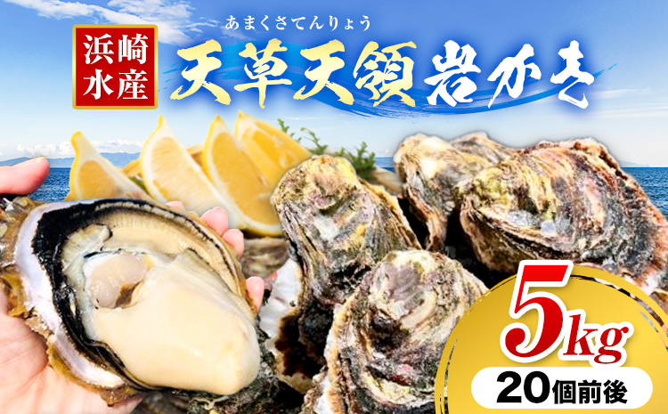 浜崎水産の天草天領岩かき 約5kg 《4月上旬‐7月末出荷》 【配送不可地域あり】 海鮮 海産物 海の幸 シーフード 魚貝類 かき 牡蠣 岩かき 岩牡蠣 夏牡蠣 生食用 生もの 濃厚 熊本県 苓北町---d04r611---