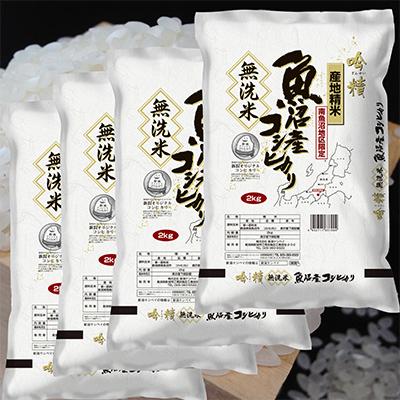 ふるさと納税 南魚沼市 【毎月定期便】【8Kg】無洗米 吟精 南魚沼産コシヒカリ 全3回 |  | 03