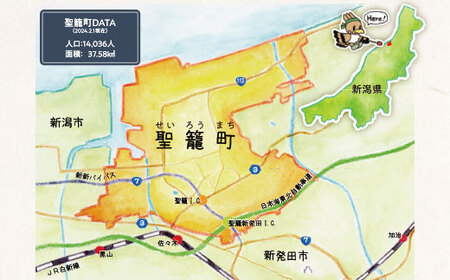 サトウのごはん 新潟県産 新之助 150g×20個