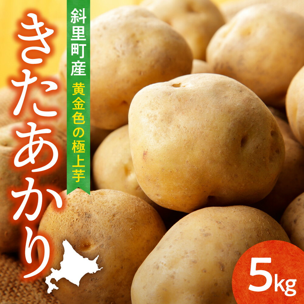 【ふるさと納税】【先行予約】知床の大自然が育む黄金色の極上芋　きたあかり　5kg_ きたあかり キタアカリ 北あかり じゃがいも 芋 ほくほく 甘み 北海道 美味しい ギフト 送料無料 【配送不可地域：離島・沖縄県】
