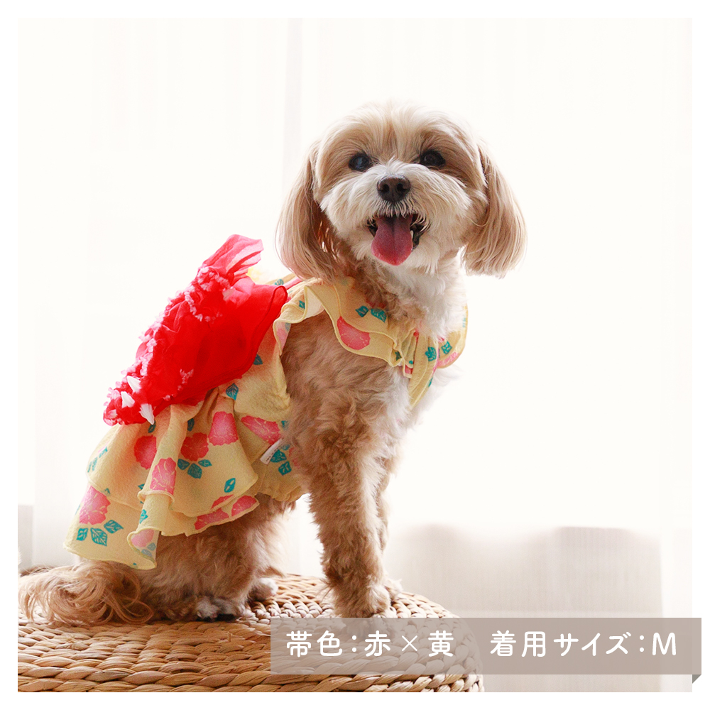 サンドレス浴衣 朝夢見花 (M) 浴衣風 祭り 和風 夏 かわいいドッグウェア 【ココアトワ(cocoAtoi)】