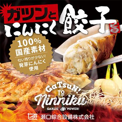 ふるさと納税 海津市 【毎月定期便】栄養価満載!臭い残り少ない!発芽にんにく使用「ガツンとにんにく餃子」2パック 全6回