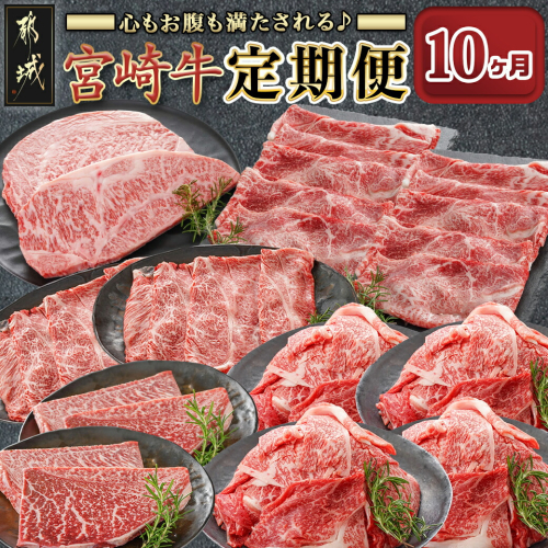 心もお腹も満たされる♪宮崎牛定期便(10ヶ月)_T140-10-6501