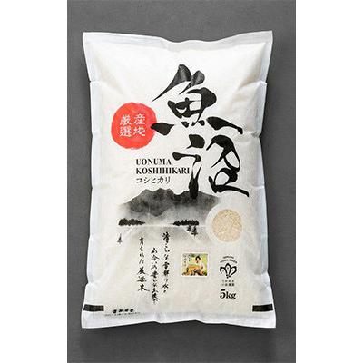 ふるさと納税 魚沼市 【毎月定期便】【無洗米】「米食味鑑定士 厳選」魚沼産コシヒカリ[5kg]全12回