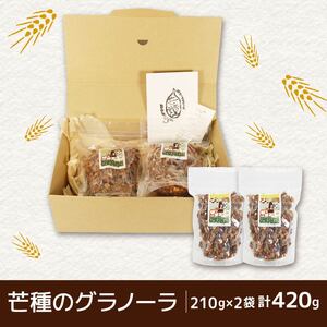 グラノーラ 手作り 210g×2個 計420g 静岡県 藤枝市  | シリアル