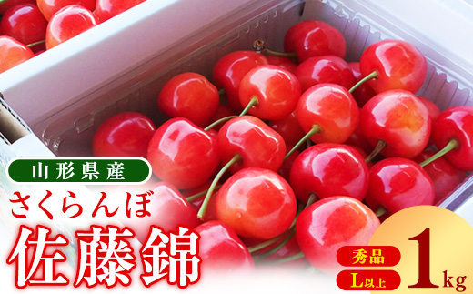 《先行予約》 令和9年産 山形県産 さくらんぼ 佐藤錦 1kg Lサイズ以上 秀品 【2027年6月上旬頃から下旬頃発送予定】 ※ 配送不可 沖縄・離島　026-A-OT005 1kg