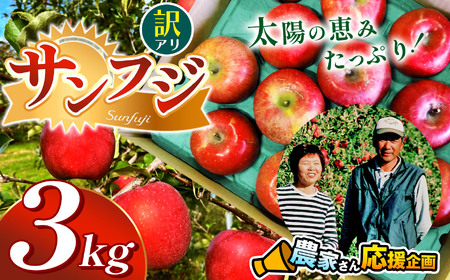 【先行受付】訳アリ　サンふじ　3kg　（9～12玉）